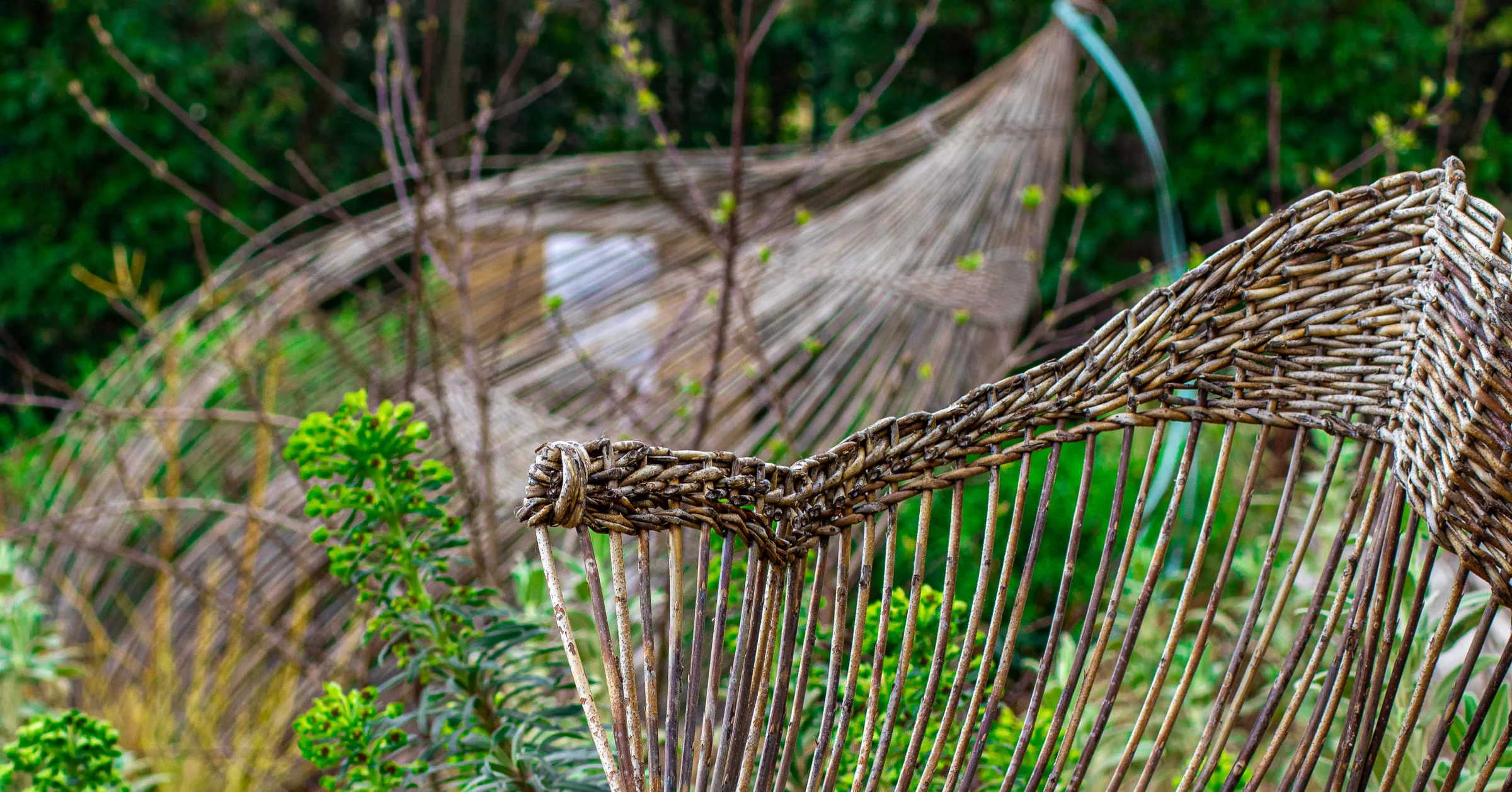Chien en séance photo à Aix-en-Provence — Strioscopie