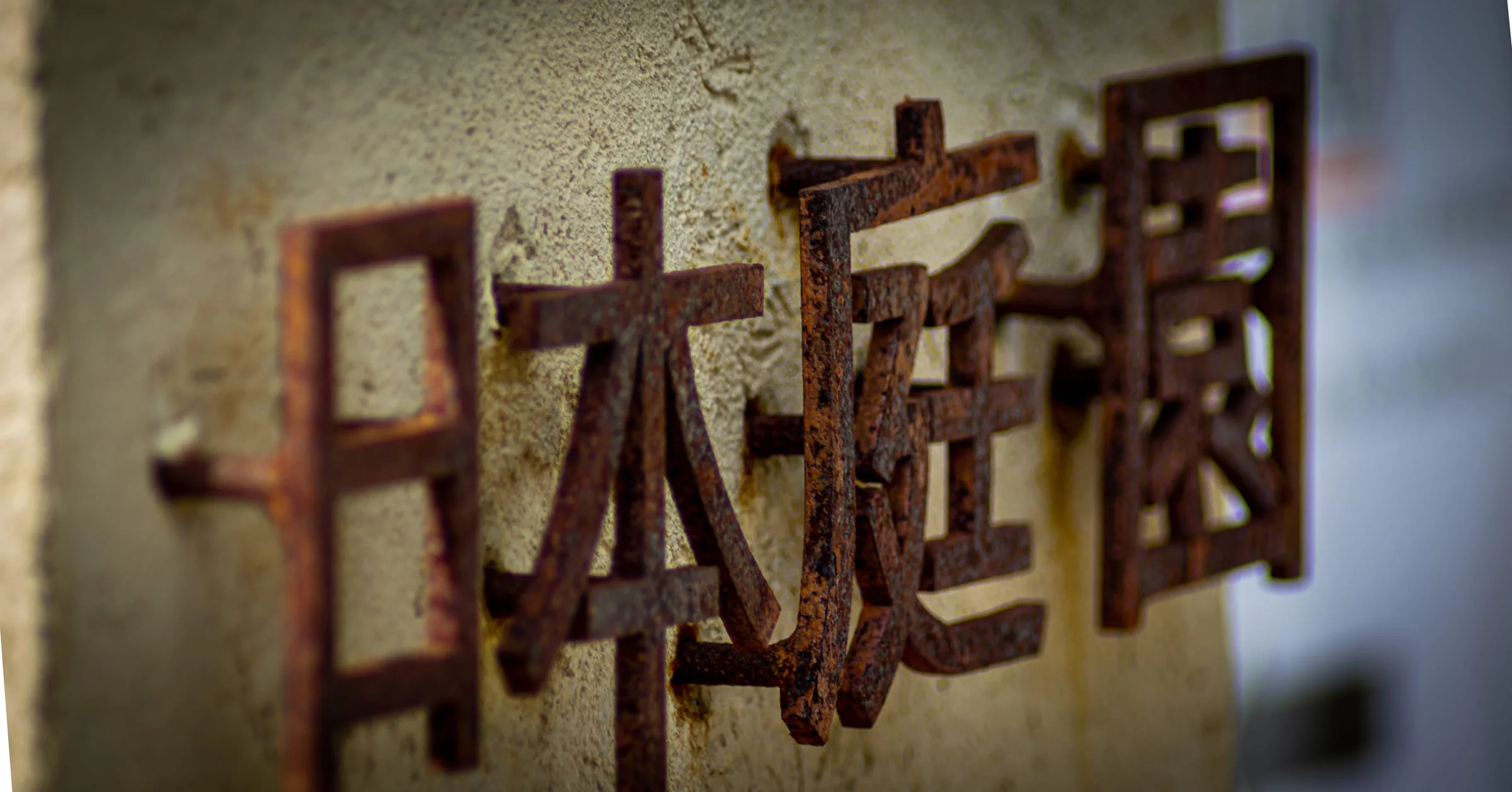 Chien portrait naturel Aix — Strioscopie photographe animalier