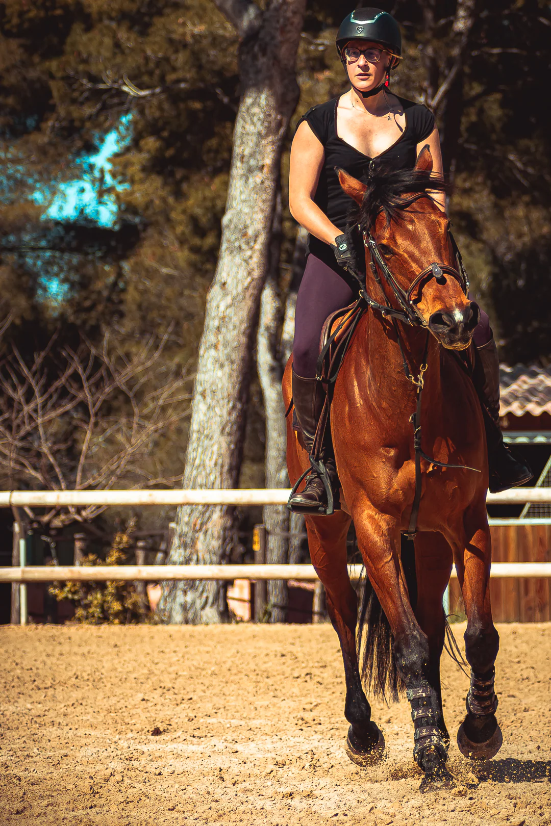 Cavalier et son cheval en lumière naturelle — photographe équestre