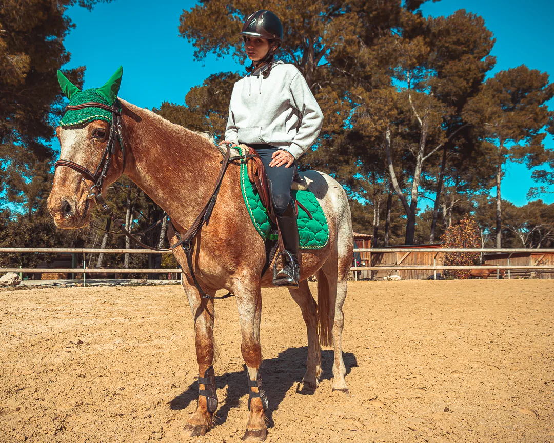 Complicité cavalier-cheval — Strioscopie photographe équestre