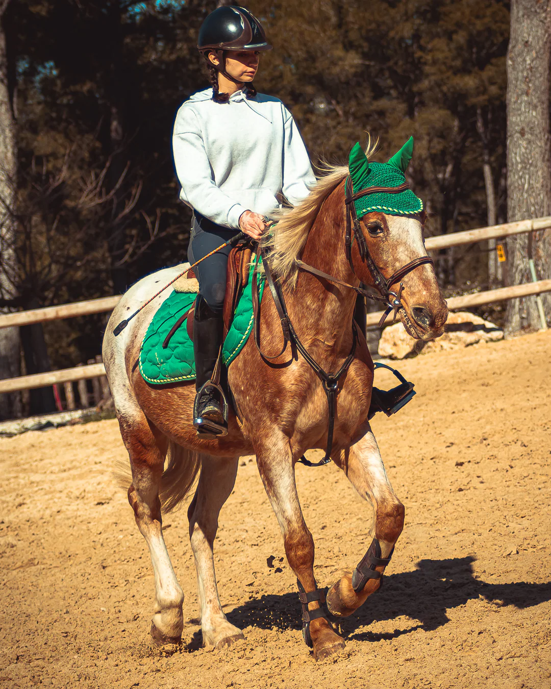 Cheval en mouvement Ventabren — photographe équestre PACA