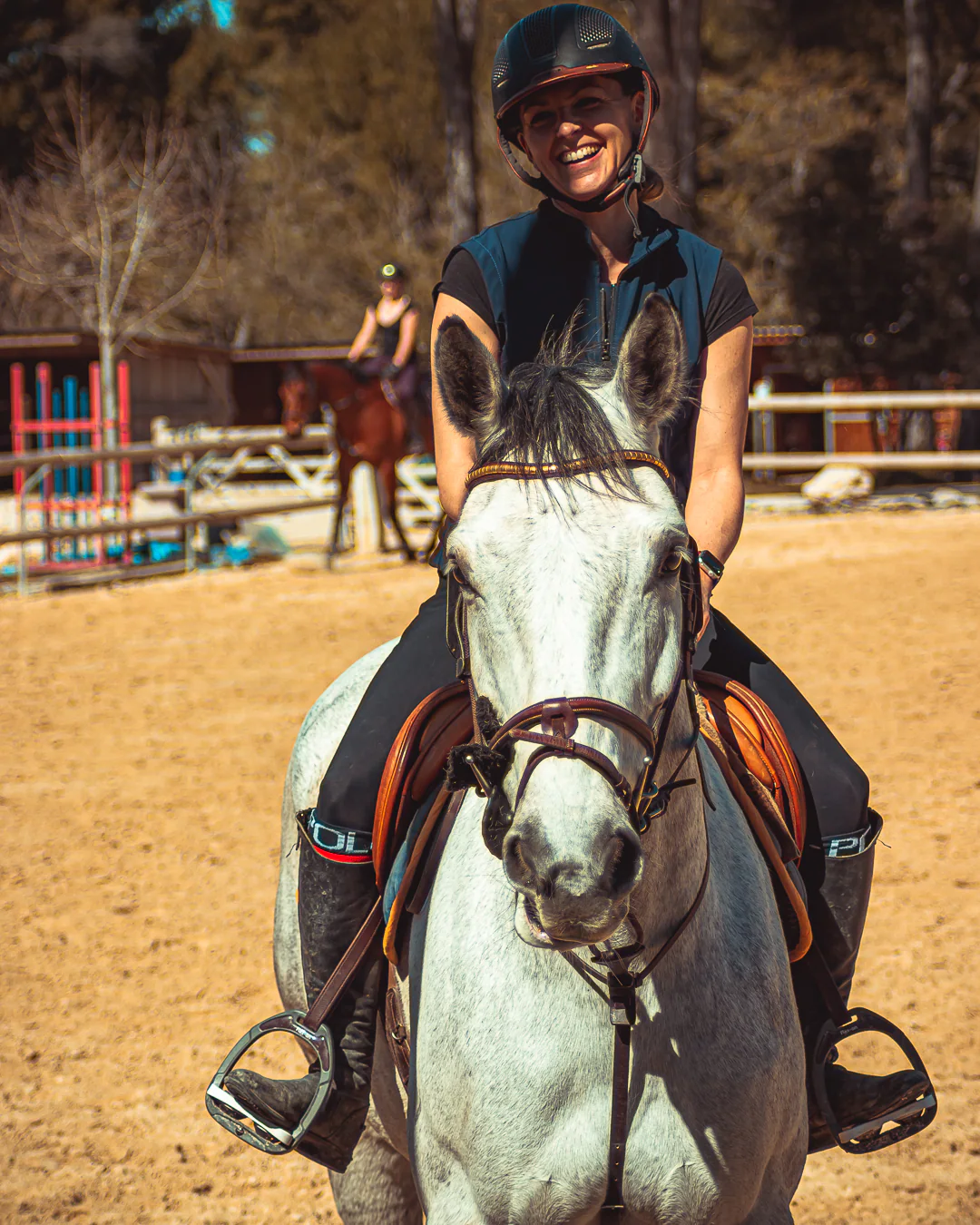 Portrait de cheval en Provence — Strioscopie photographe équestre