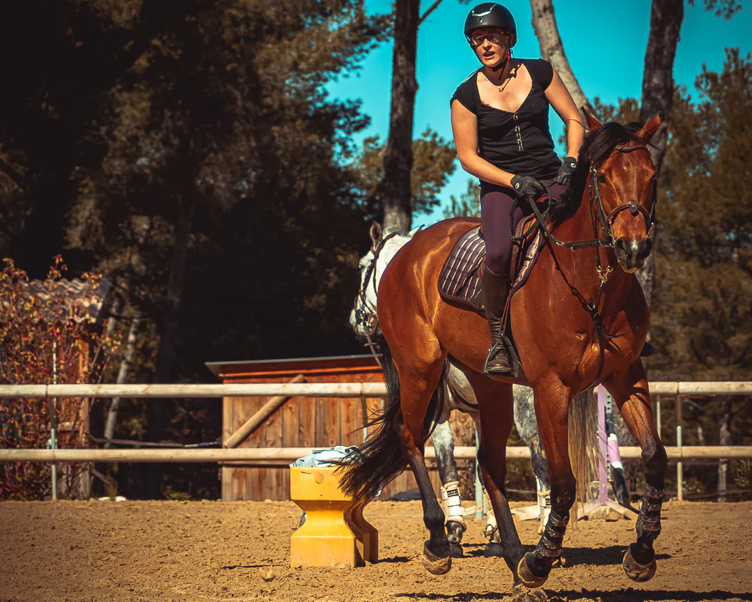Portrait équin en Provence — Strioscopie photographe animalier