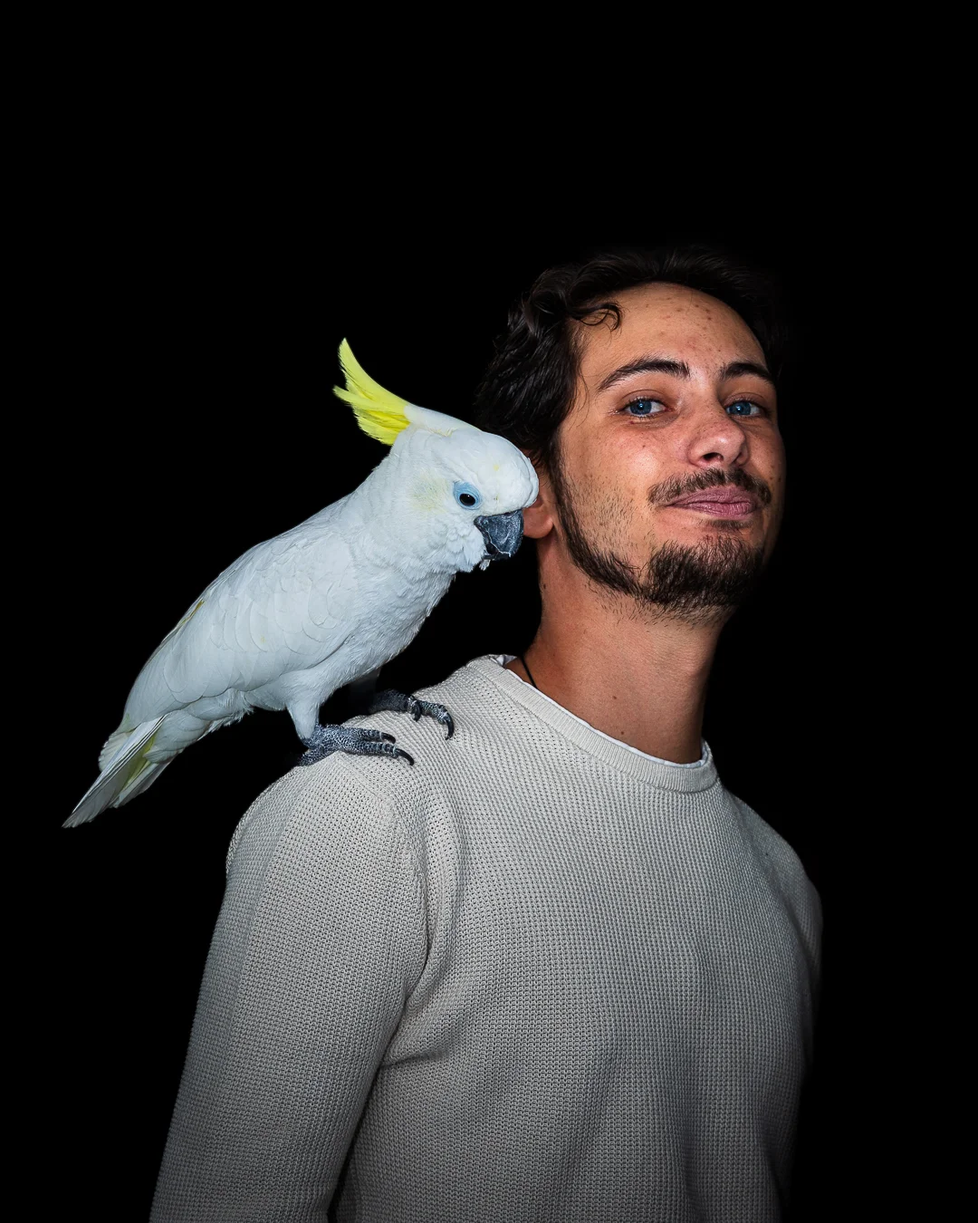 Homme et cacatoès portrait fond noir — Strioscopie photographe NAC